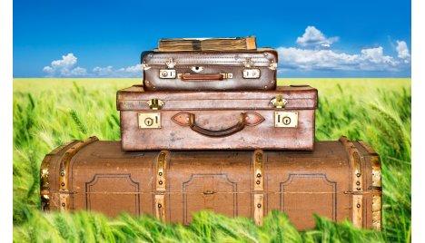 International removals M