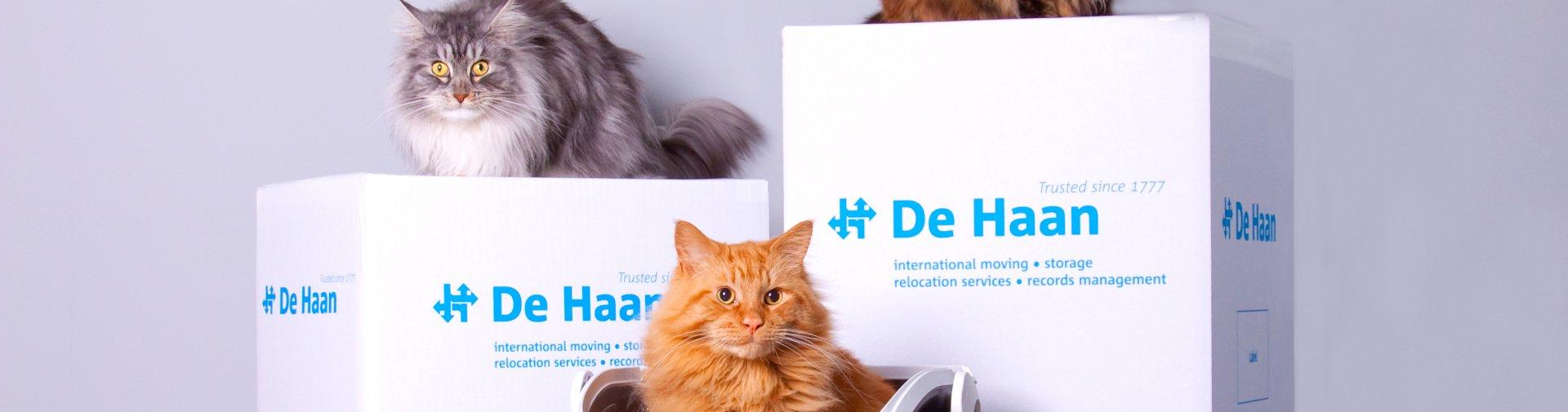 Huisdieren verhuizen 