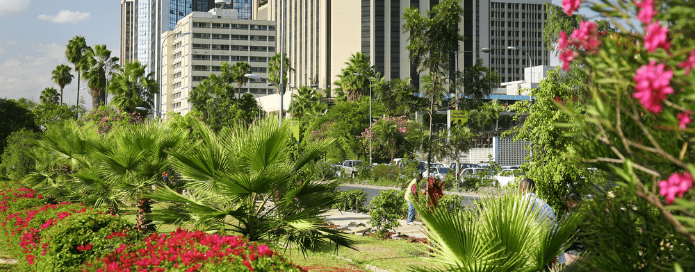 Verhuizen naar Kenia